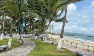 Aleja palmowa w Nha Trang prowadzi do piaszczystej plaży.