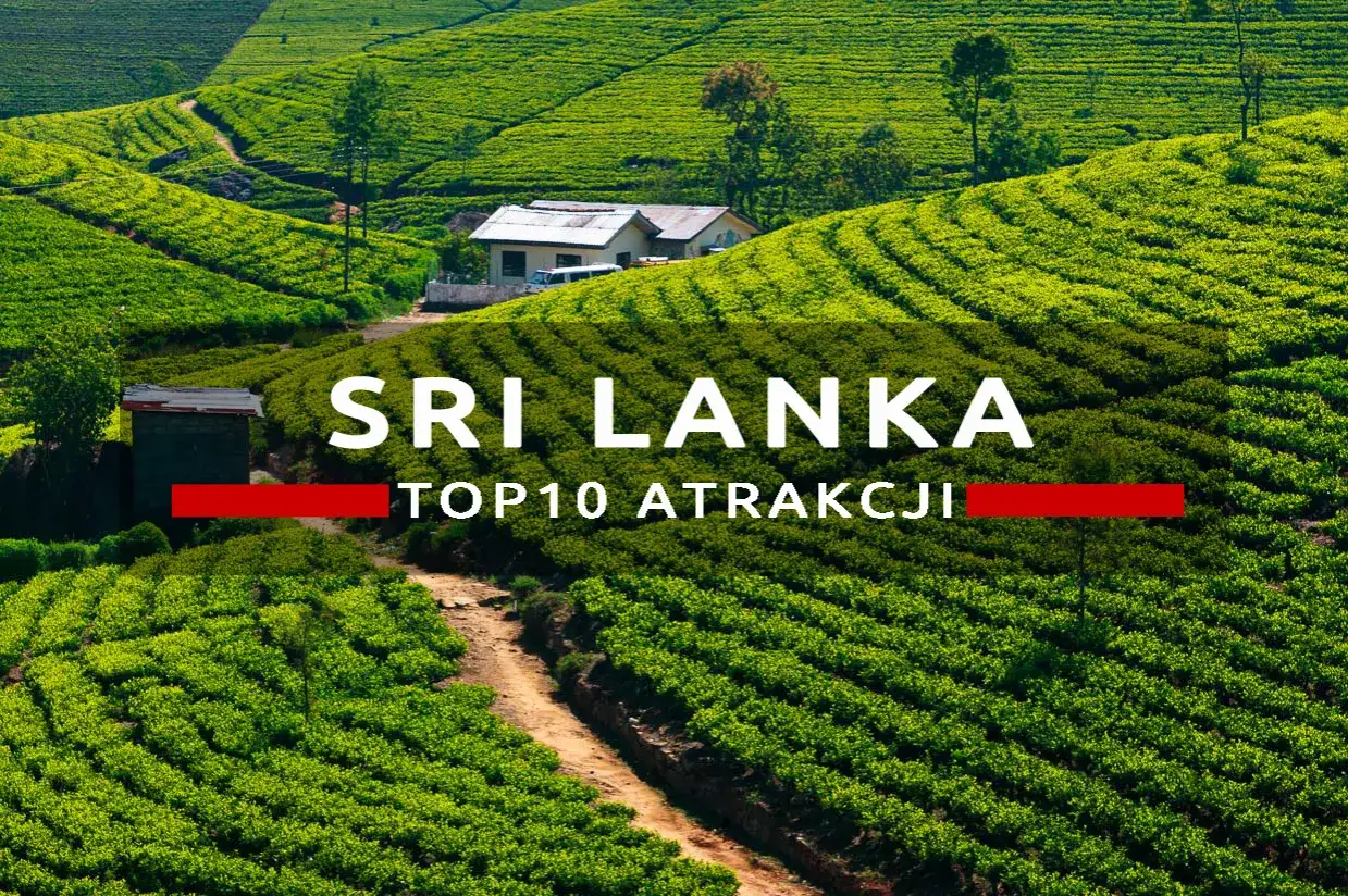 Zielone tarasy plantacji herbaty na Sri Lance. Zobacz, co warto zobaczyć na Sri Lance - top 10 atrakcji.