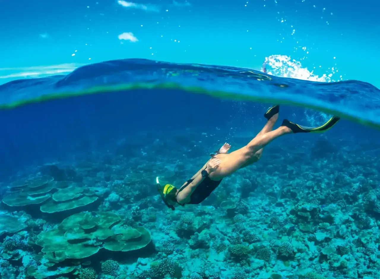 Grudzień na Malediwach to idealna pogoda na snorkeling. Kobieta w płetwach i masce nurkuje wśród pięknych raf koralowych.